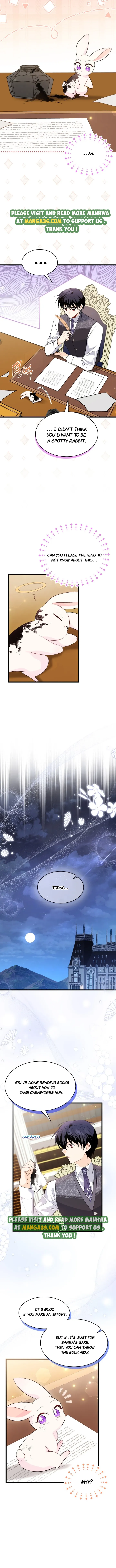 The Symbiotic Relationship Between a Panther and a Rabbit Chapter 83.5 3